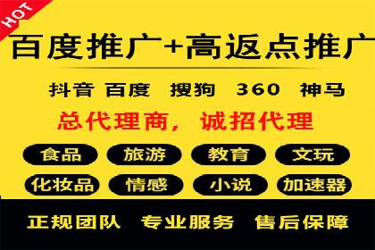 行业标杆：SEM托管公司案例解析